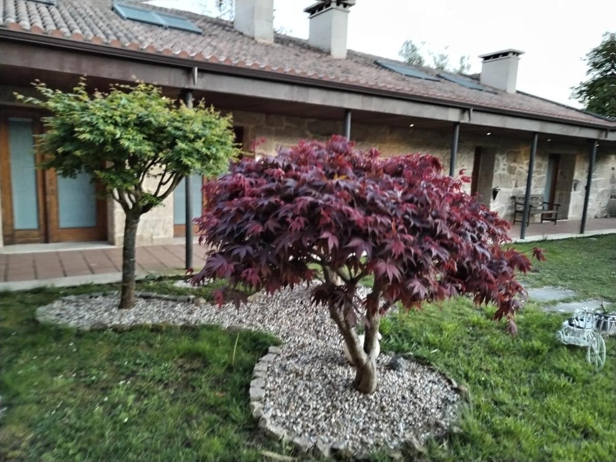 Apartamentos Rias Baixas 莫阿纳 外观 照片